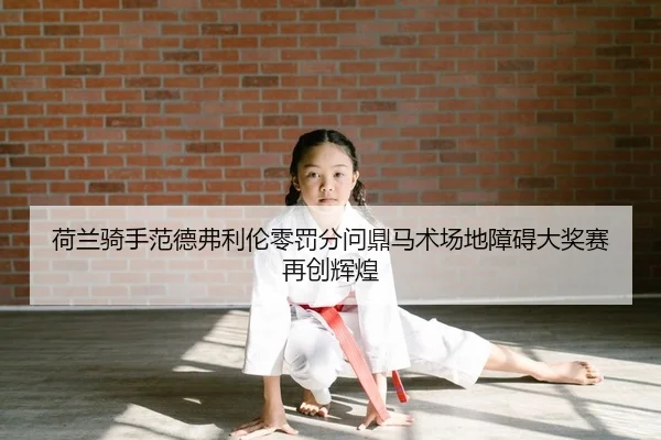 he-lan-qi-shou-fan-de-fu-li-lun-ling-fa-fen-wen-ding-ma-shu-chang-di-zhang-ai-da-jiang-sai-zai-chuang-hui-huang-2-516.jpg